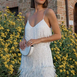 Samba - Elegance i Bevægelse
